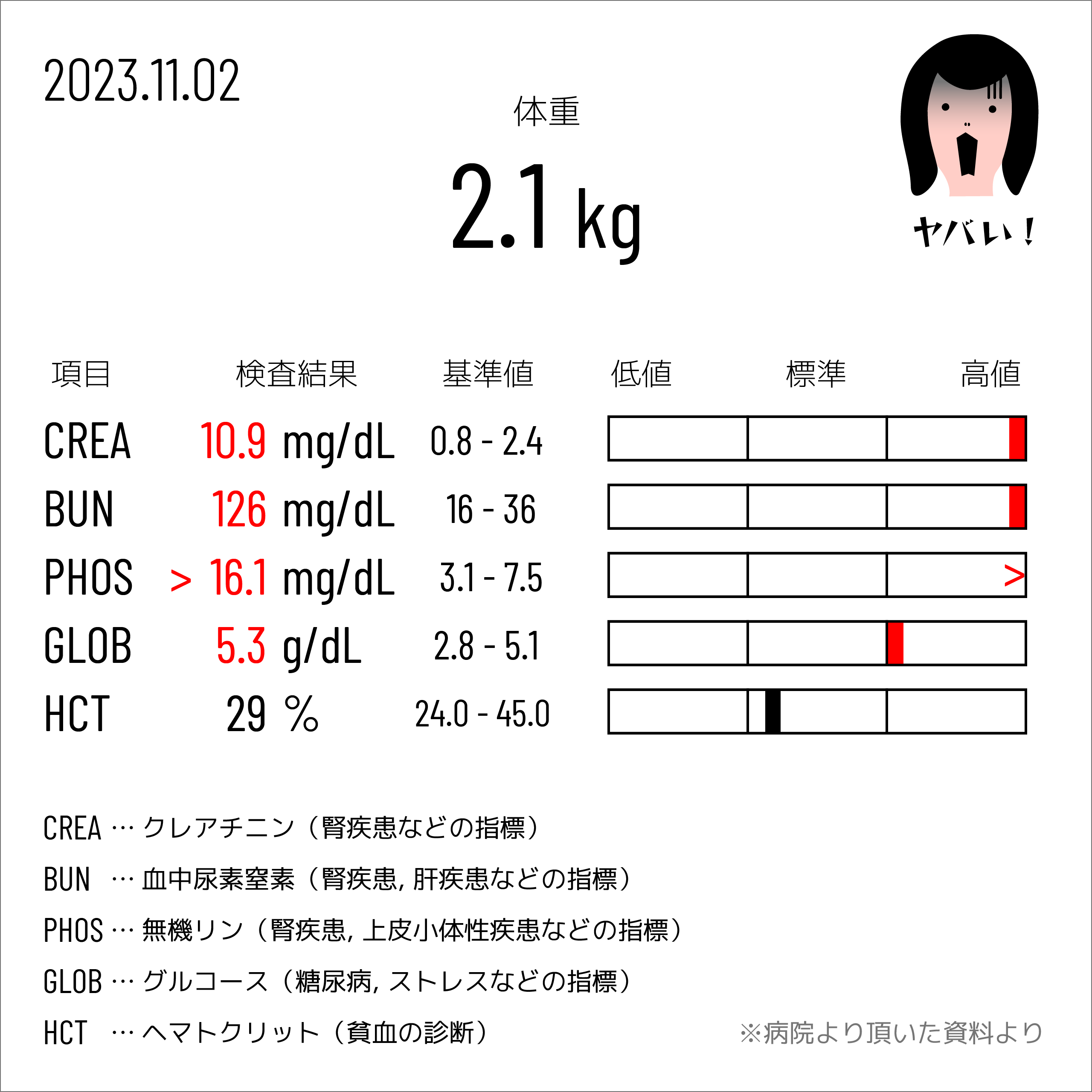 血液検査 2023.11.02