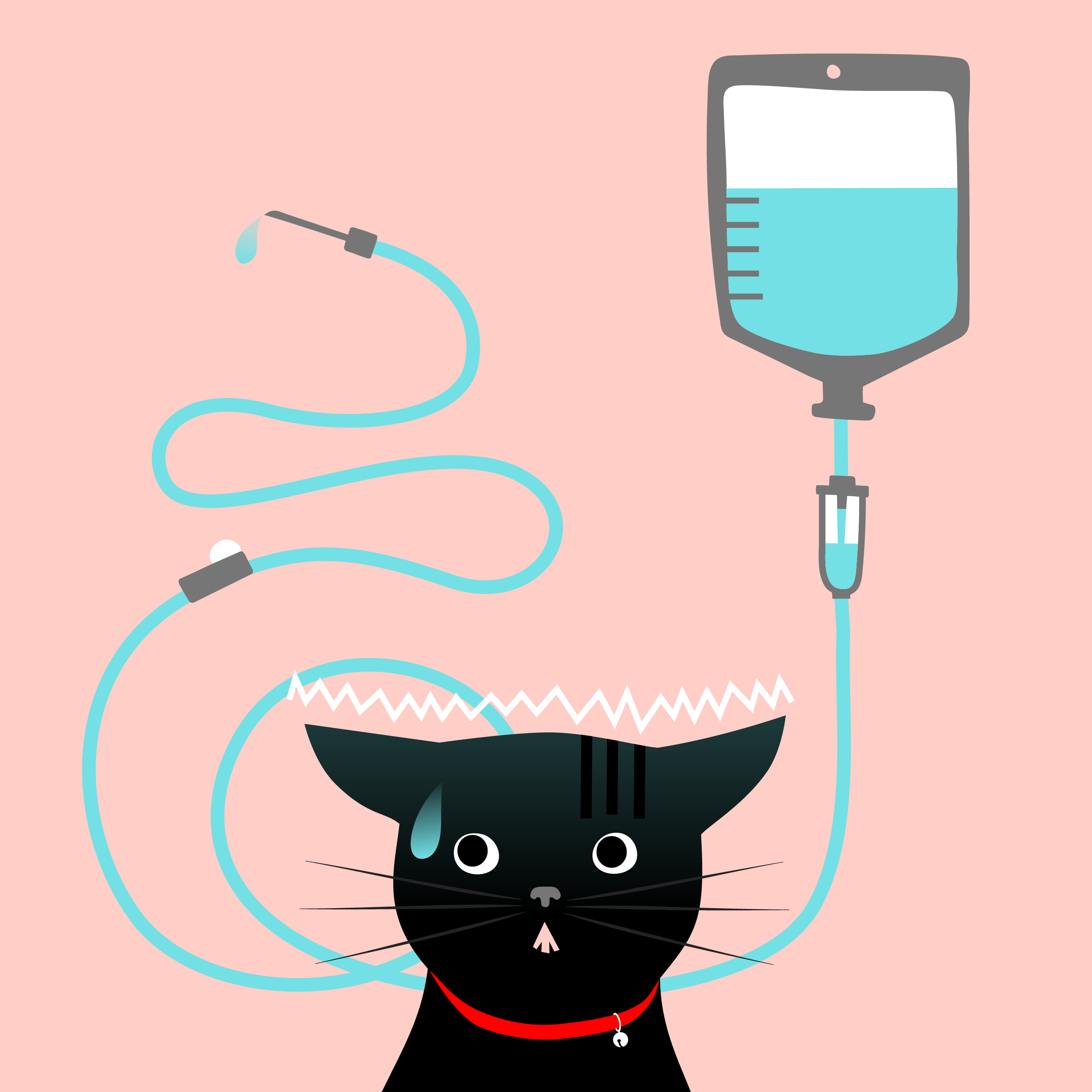 2023.11.03 点滴のご指導