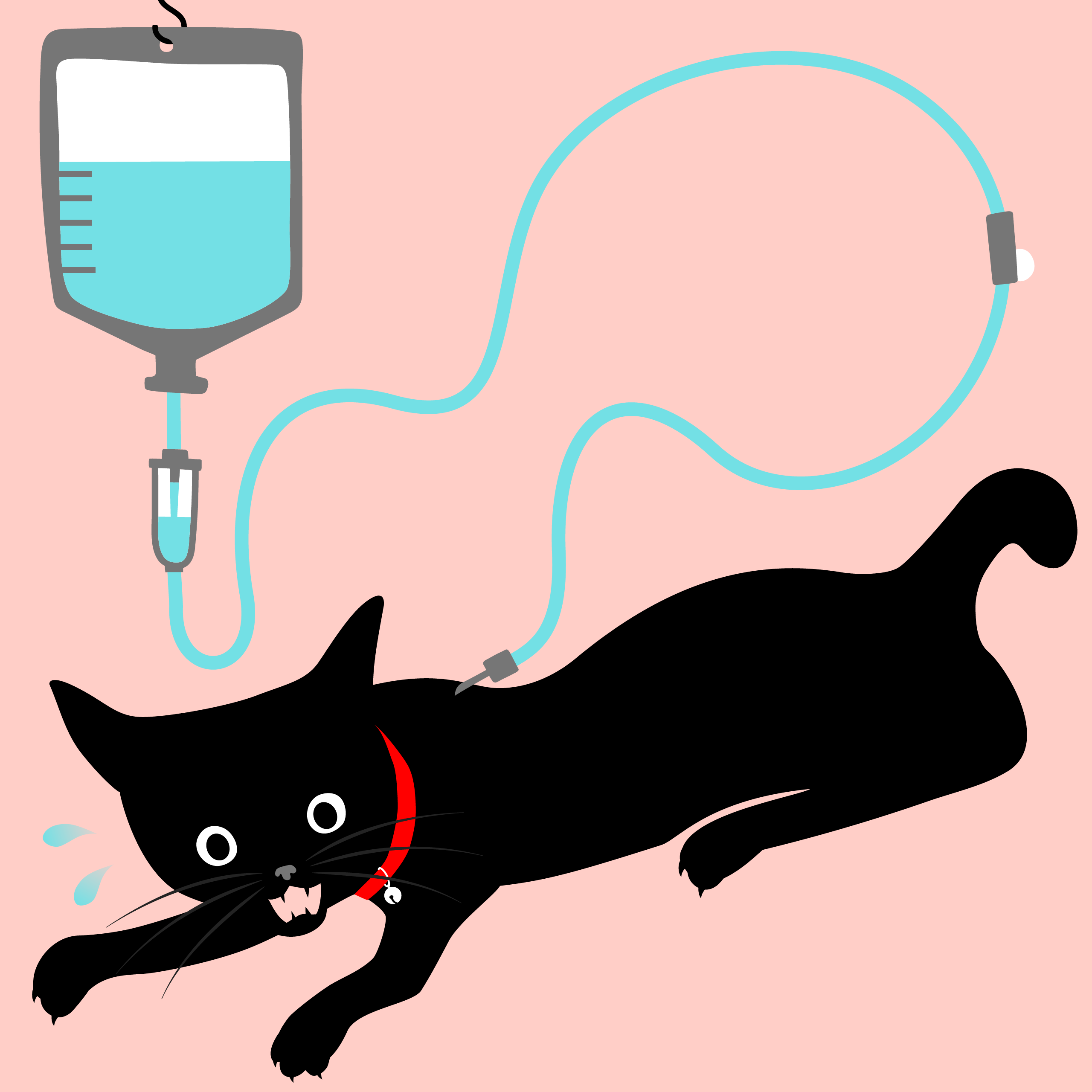 2023.11.04 点滴とのたたかい 1