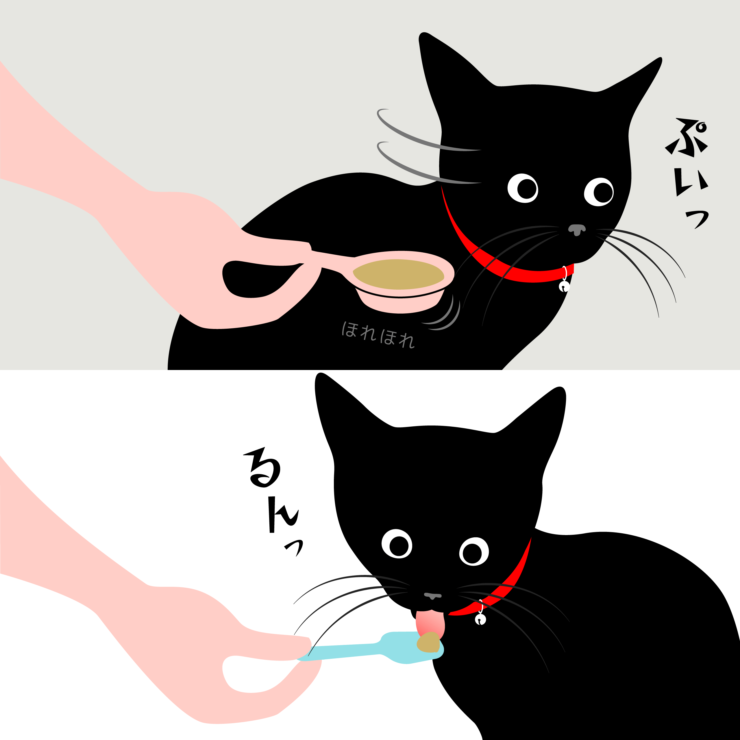 にゃんスプーンを小分けにチビチビ