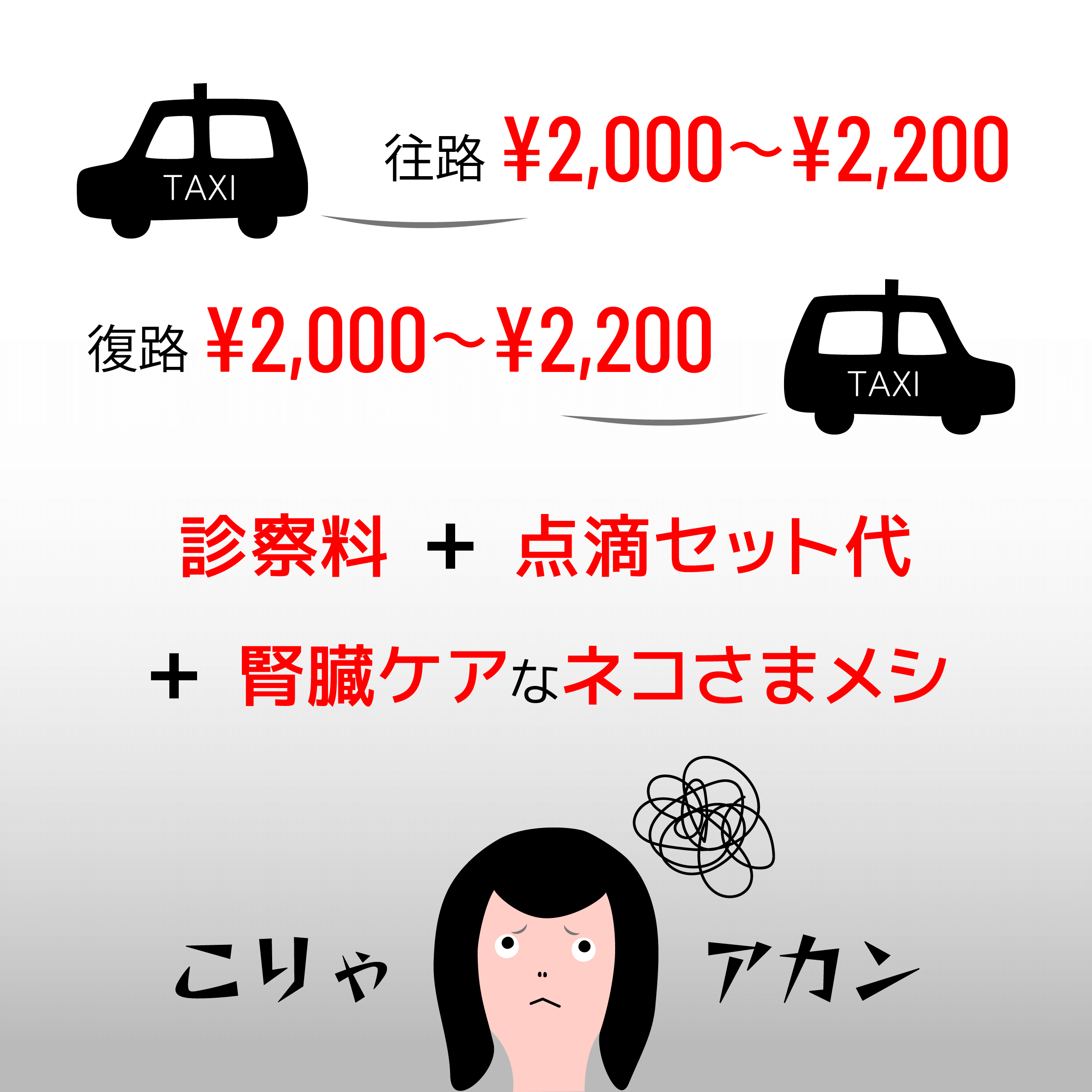 いろいろかかっちゃう費用