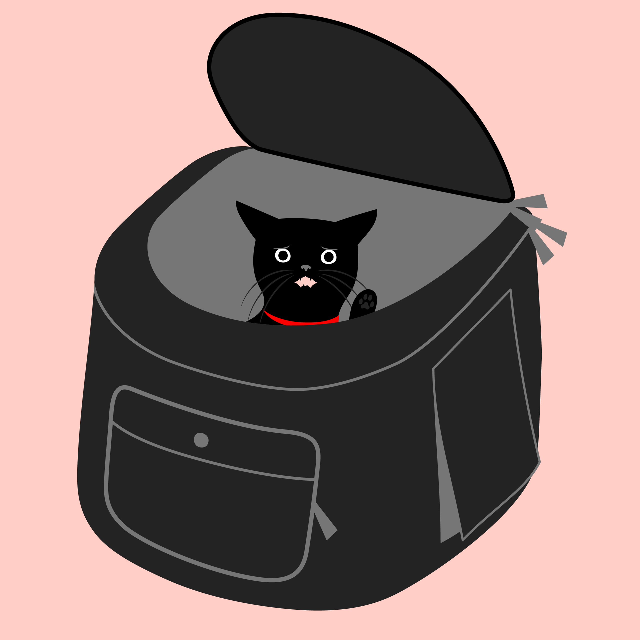 2023.11.17 血液検査 #３