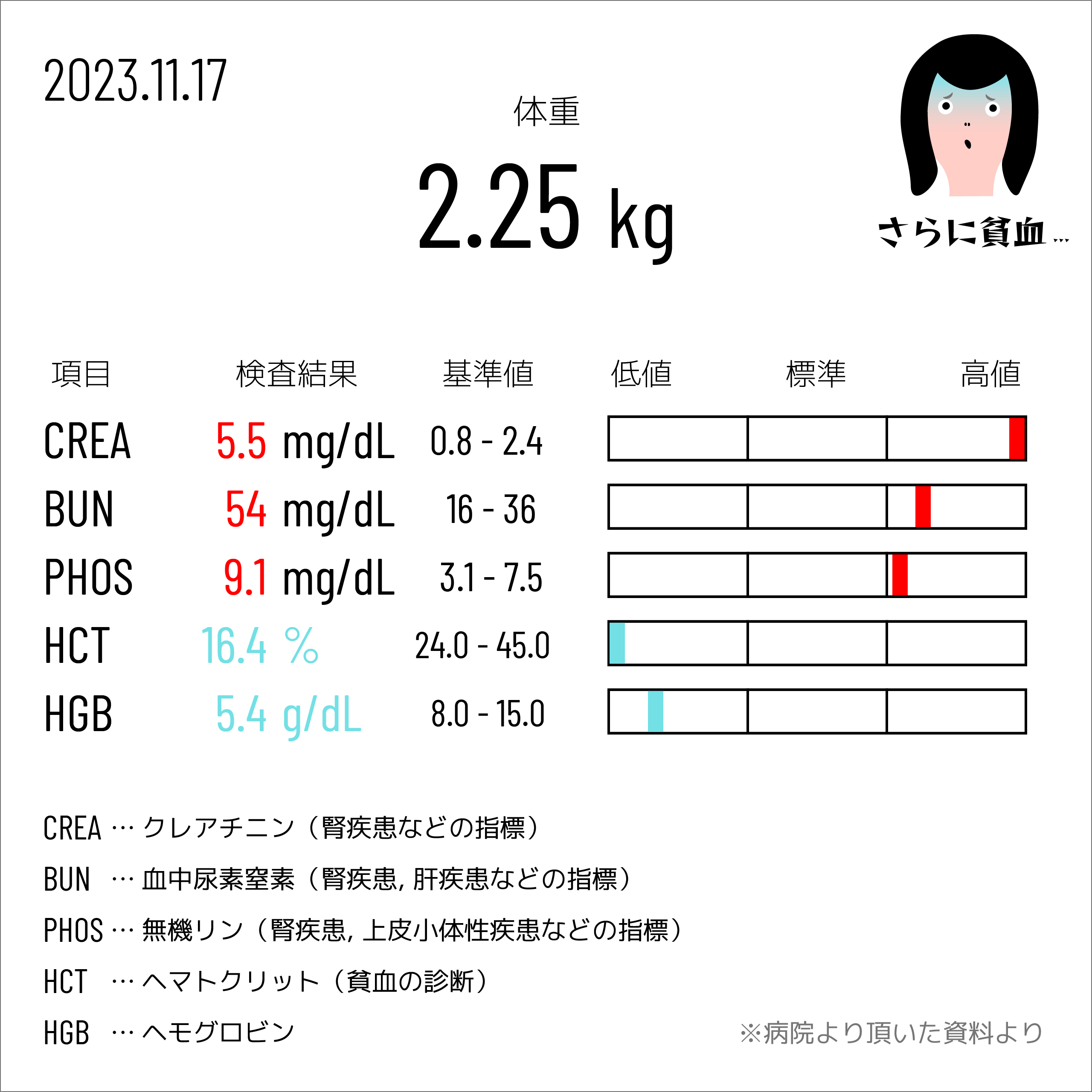 血液検査 2023.11.17
