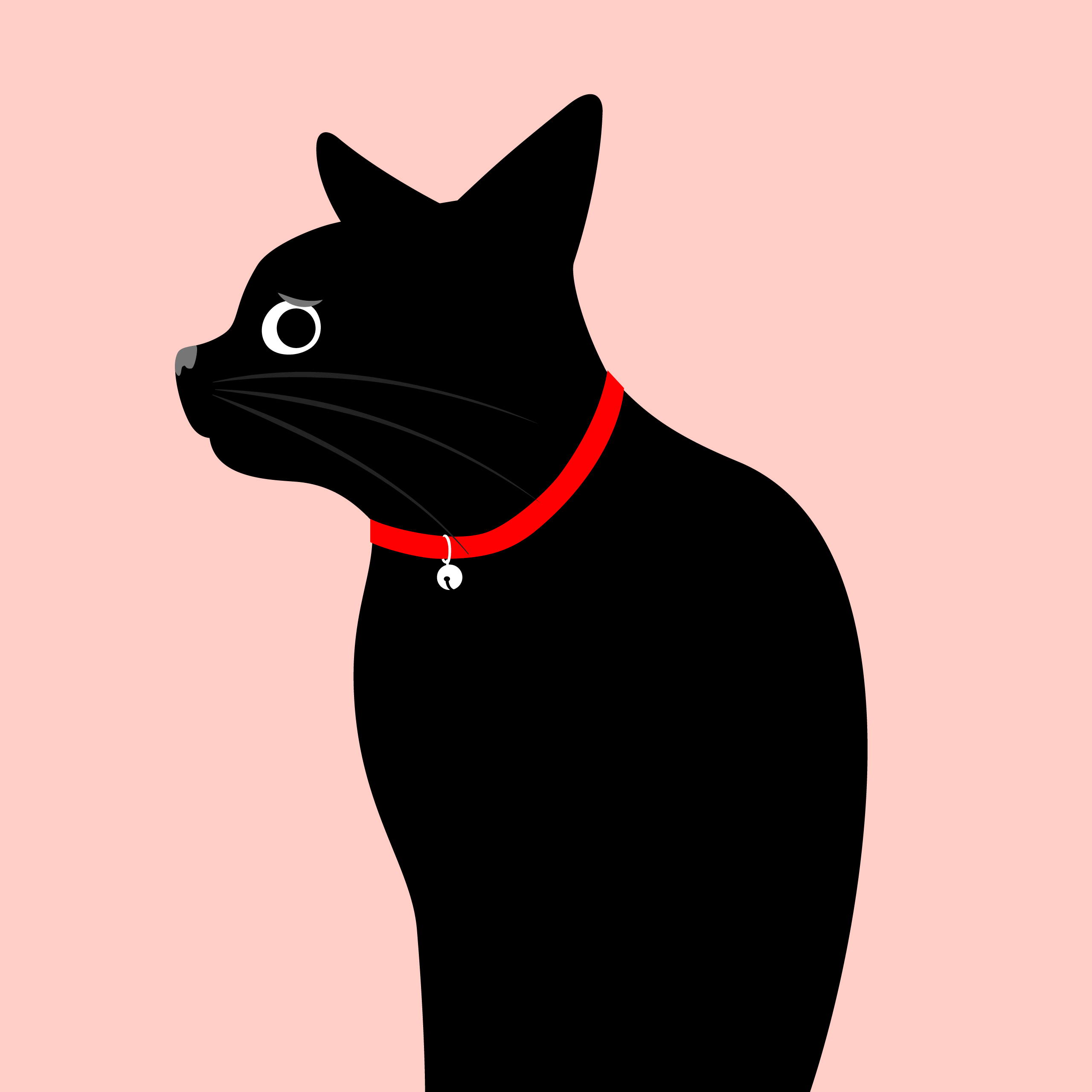 2023.11.30 錠剤を飲ませる苦悩